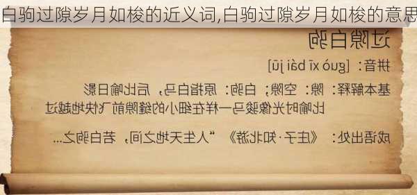 白驹过隙岁月如梭的近义词,白驹过隙岁月如梭的意思