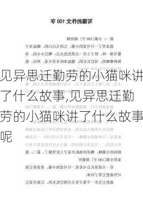 见异思迁勤劳的小猫咪讲了什么故事,见异思迁勤劳的小猫咪讲了什么故事呢