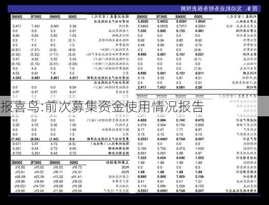 报喜鸟:前次募集资金使用情况报告