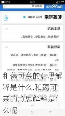 和蔼可亲的意思解释是什么,和蔼可亲的意思解释是什么呢