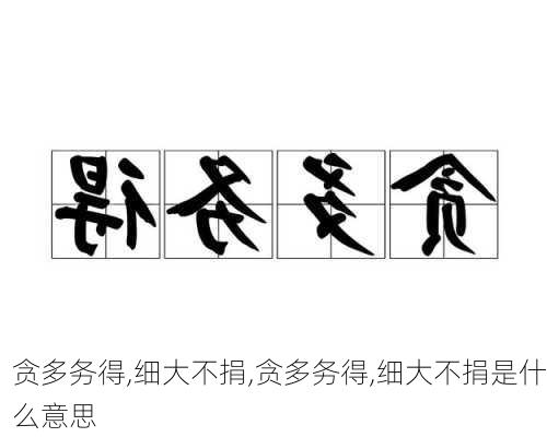 贪多务得,细大不捐,贪多务得,细大不捐是什么意思