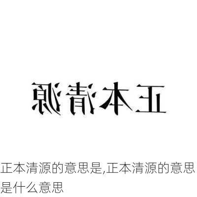 正本清源的意思是,正本清源的意思是什么意思