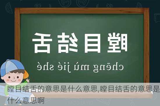 瞠目结舌的意思是什么意思,瞠目结舌的意思是什么意思啊