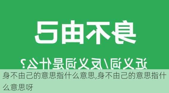 身不由己的意思指什么意思,身不由己的意思指什么意思呀