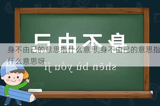 身不由己的意思指什么意思,身不由己的意思指什么意思呀