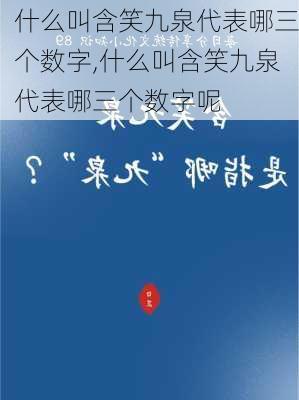 什么叫含笑九泉代表哪三个数字,什么叫含笑九泉代表哪三个数字呢