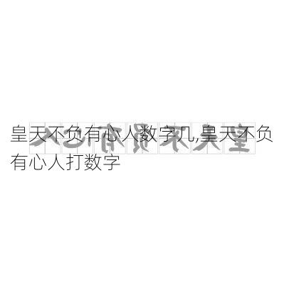 皇天不负有心人数字几,皇天不负有心人打数字