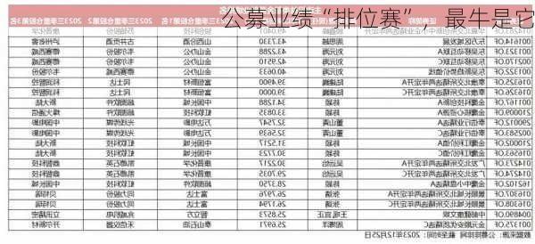 公募业绩“排位赛”，最牛是它