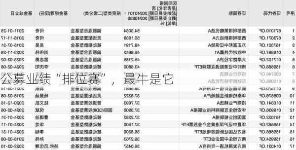 公募业绩“排位赛”，最牛是它