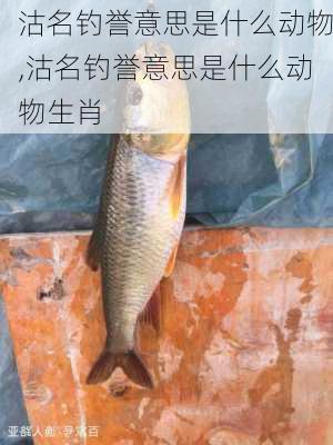 沽名钓誉意思是什么动物,沽名钓誉意思是什么动物生肖