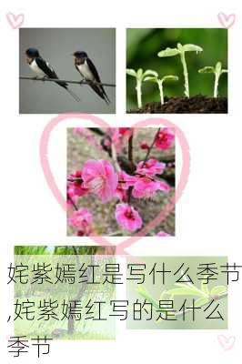 姹紫嫣红是写什么季节,姹紫嫣红写的是什么季节