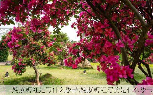 姹紫嫣红是写什么季节,姹紫嫣红写的是什么季节