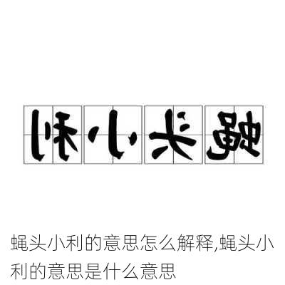 蝇头小利的意思怎么解释,蝇头小利的意思是什么意思