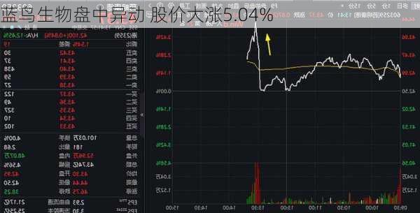 蓝鸟生物盘中异动 股价大涨5.04%