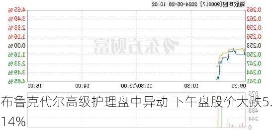 布鲁克代尔高级护理盘中异动 下午盘股价大跌5.14%