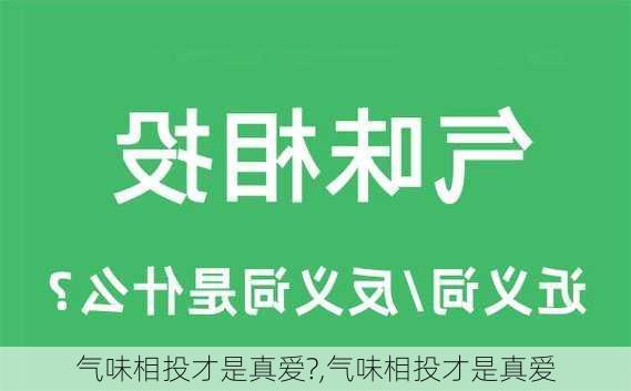 气味相投才是真爱?,气味相投才是真爱