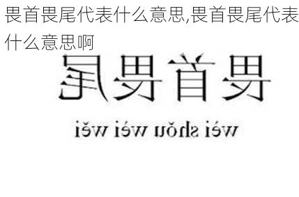 畏首畏尾代表什么意思,畏首畏尾代表什么意思啊