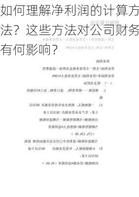 如何理解净利润的计算方法？这些方法对公司财务有何影响？