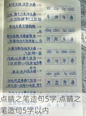 点睛之笔造句5字,点睛之笔造句5字以内