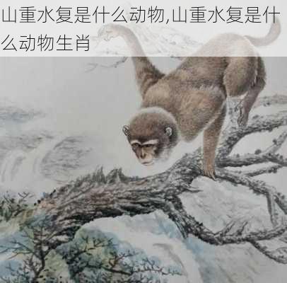 山重水复是什么动物,山重水复是什么动物生肖