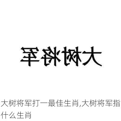 大树将军打一最佳生肖,大树将军指什么生肖