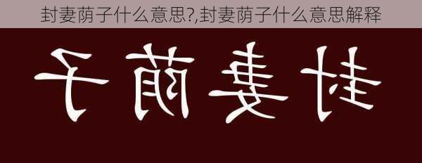 封妻荫子什么意思?,封妻荫子什么意思解释