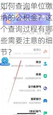 如何查询单位缴纳的公积金？这个查询过程有哪些需要注意的细节？