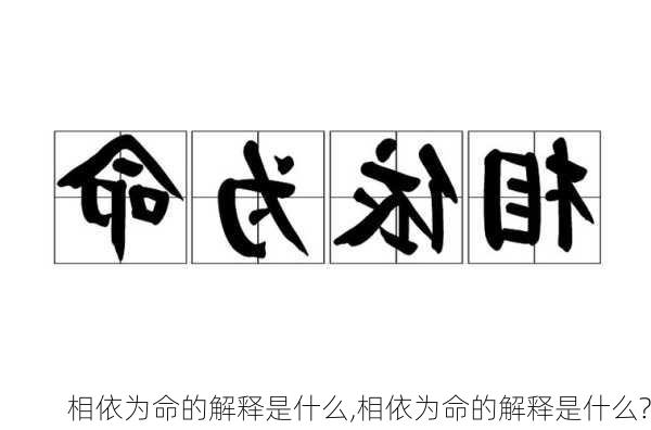 相依为命的解释是什么,相依为命的解释是什么?