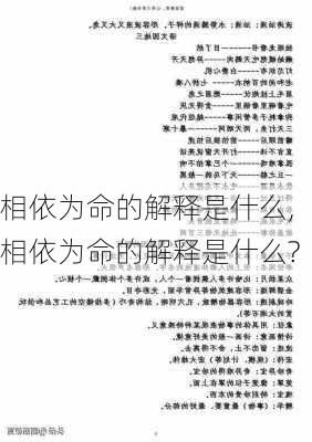 相依为命的解释是什么,相依为命的解释是什么?