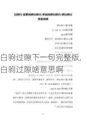 白驹过隙下一句完整版,白驹过隙啥意思啊