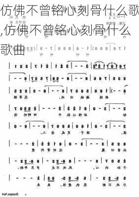 仿佛不曾铭心刻骨什么歌,仿佛不曾铭心刻骨什么歌曲