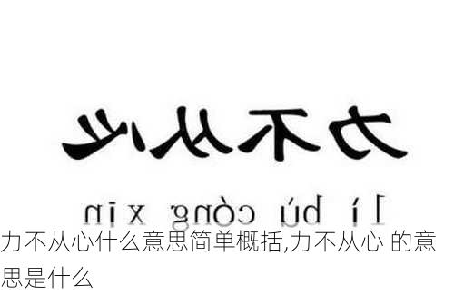 力不从心什么意思简单概括,力不从心 的意思是什么