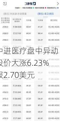 中进医疗盘中异动 股价大涨6.23%报2.70美元