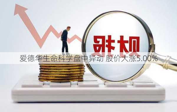 爱德华生命科学盘中异动 股价大涨5.00%