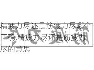 精疲力尽还是筋疲力尽哪个正确,精疲力尽还是筋疲力尽的意思