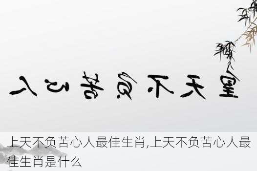 上天不负苦心人最佳生肖,上天不负苦心人最佳生肖是什么