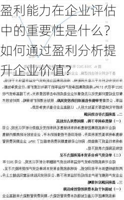 盈利能力在企业评估中的重要性是什么？如何通过盈利分析提升企业价值？