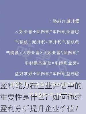 盈利能力在企业评估中的重要性是什么？如何通过盈利分析提升企业价值？