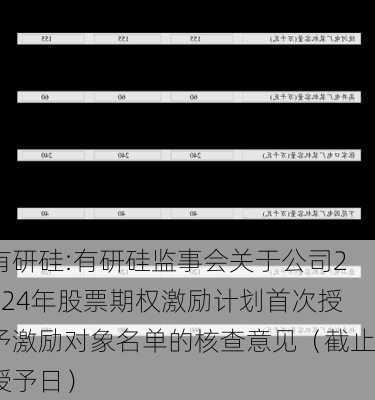 有研硅:有研硅监事会关于公司2024年股票期权激励计划首次授予激励对象名单的核查意见（截止授予日）