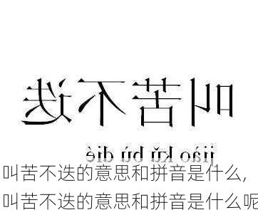 叫苦不迭的意思和拼音是什么,叫苦不迭的意思和拼音是什么呢