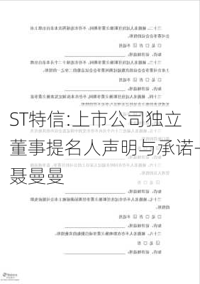 ST特信:上市公司独立董事提名人声明与承诺-聂曼曼