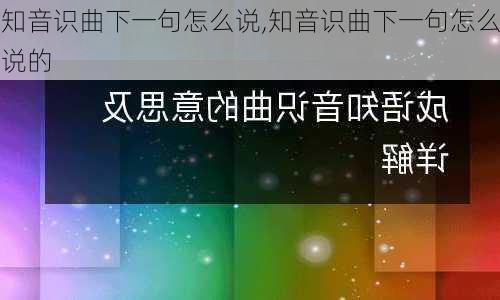 知音识曲下一句怎么说,知音识曲下一句怎么说的