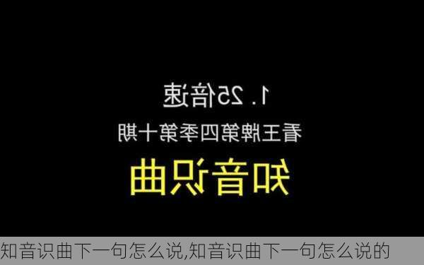 知音识曲下一句怎么说,知音识曲下一句怎么说的