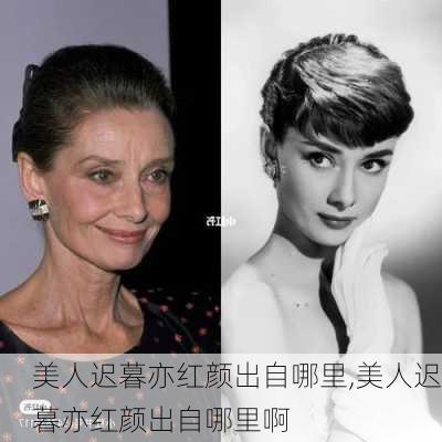 美人迟暮亦红颜出自哪里,美人迟暮亦红颜出自哪里啊