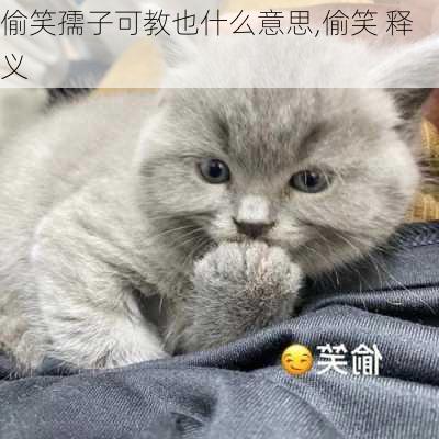 偷笑孺子可教也什么意思,偷笑 释义