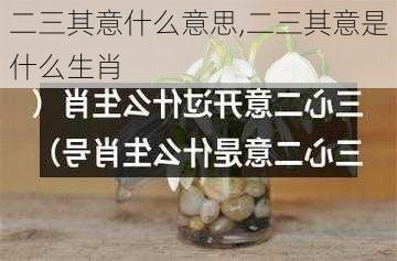 二三其意什么意思,二三其意是什么生肖