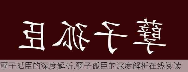 孽子孤臣的深度解析,孽子孤臣的深度解析在线阅读