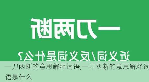 一刀两断的意思解释词语,一刀两断的意思解释词语是什么