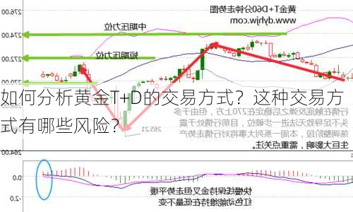 如何分析黄金T+D的交易方式？这种交易方式有哪些风险？