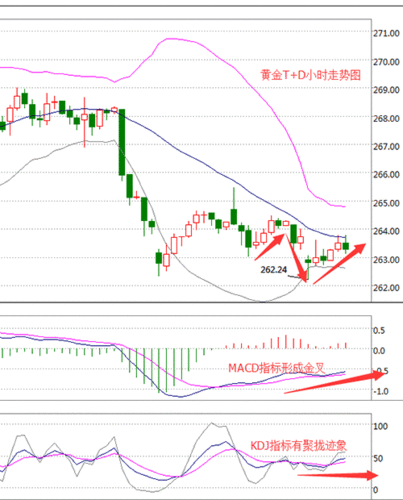 如何分析黄金T+D的交易方式？这种交易方式有哪些风险？